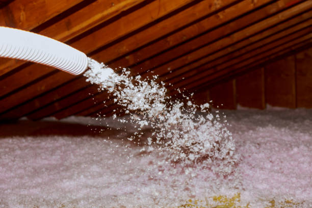 Best Soundproof Insulation Installation  in Idylwood, VA