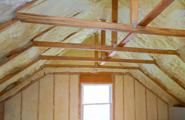 Best Home Insulation Services  in Idylwood, VA