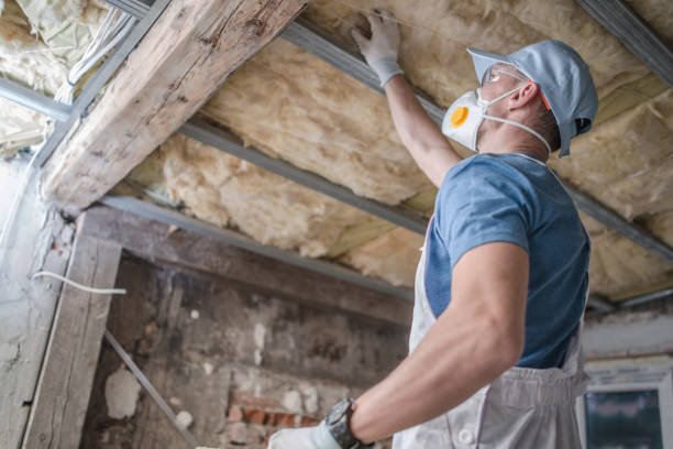 Best Cellulose Insulation  in Idylwood, VA