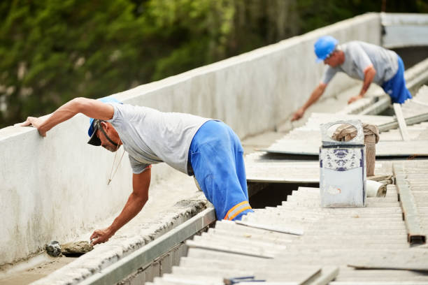 Best Insulation Removal  in Idylwood, VA