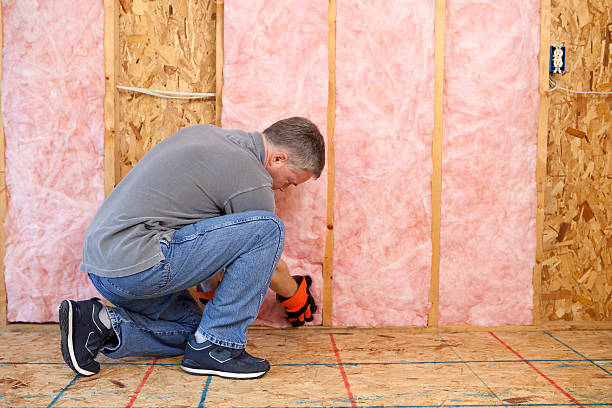 Best Insulation Replacement Services  in Idylwood, VA