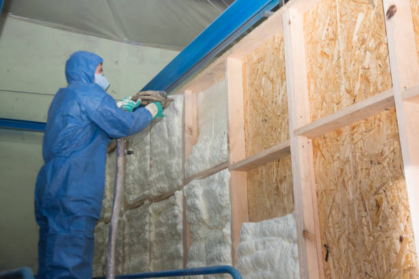 Insulation Repair Services in Idylwood, VA