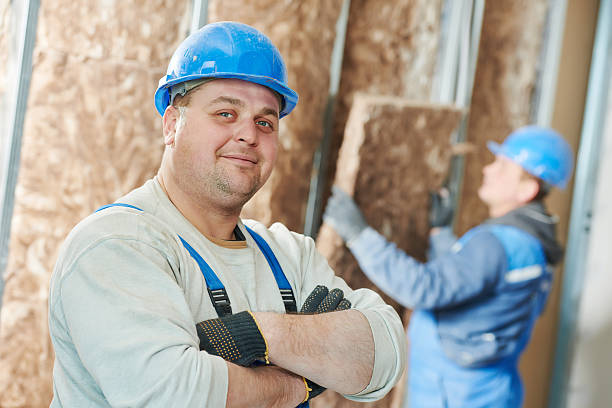 Best Fiberglass Insulation  in Idylwood, VA