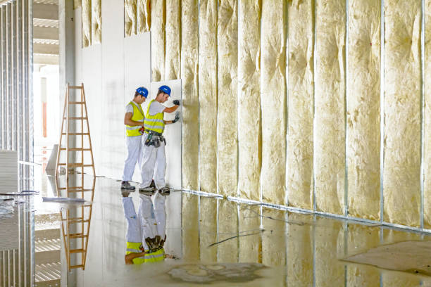 Best Cellulose Insulation  in Idylwood, VA